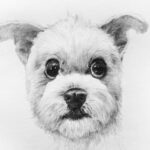 Lotus動物溝通